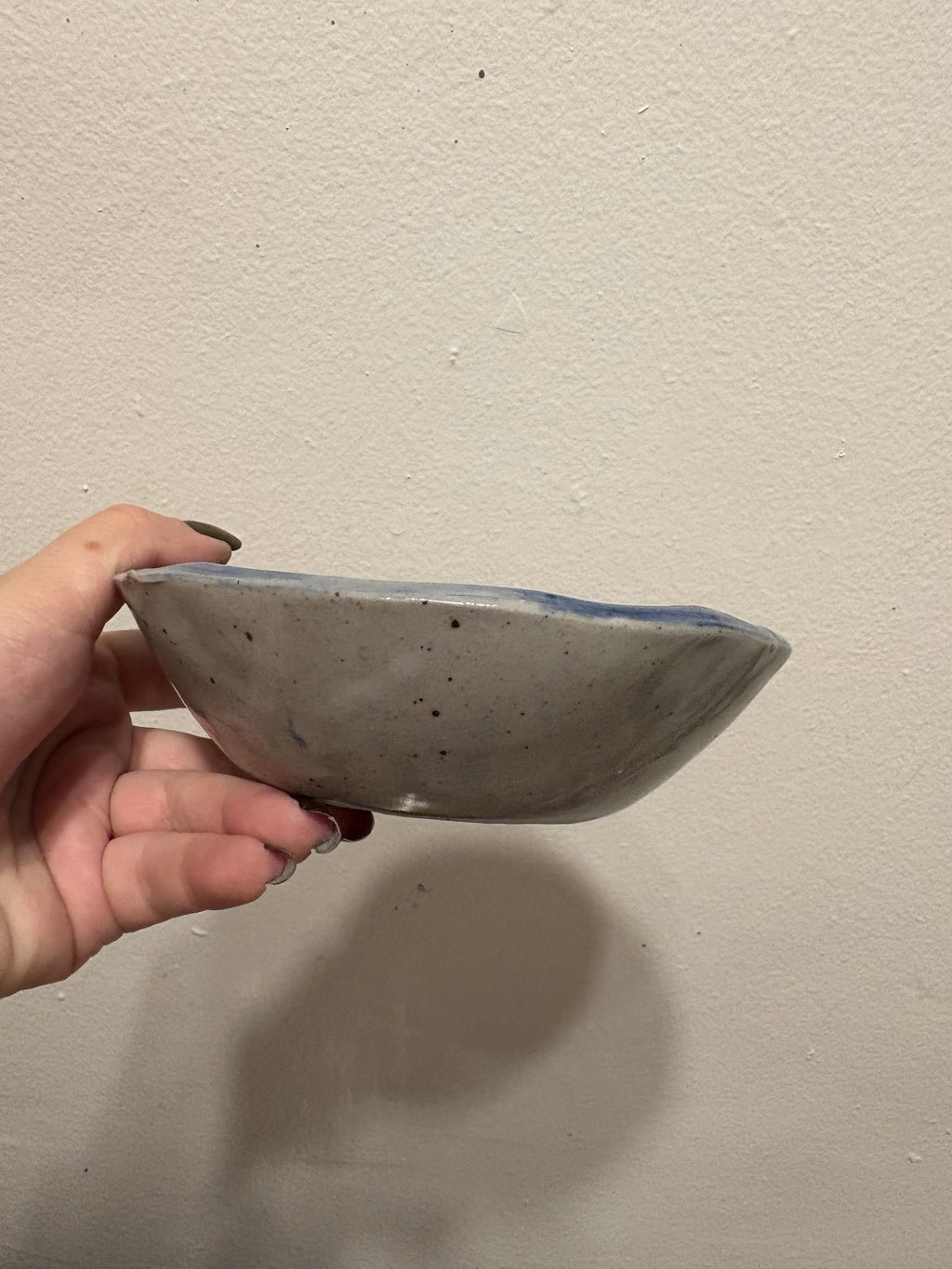 Gale Dish