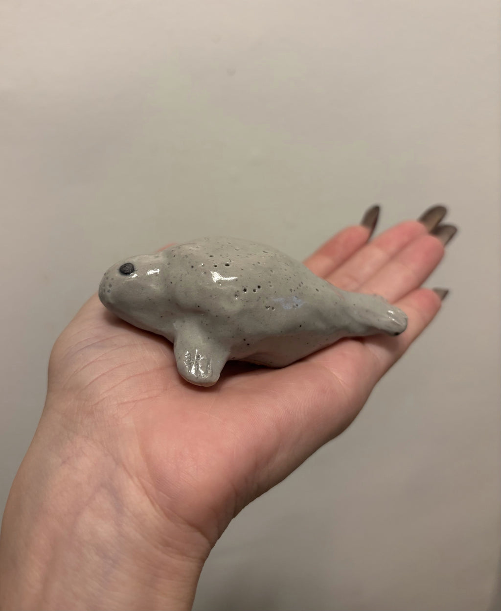 Ceramic Seal